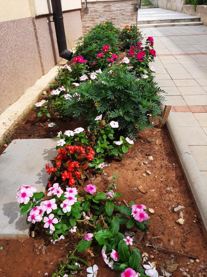 Apartmani Lea Starigrad Paklenica Luaran gambar